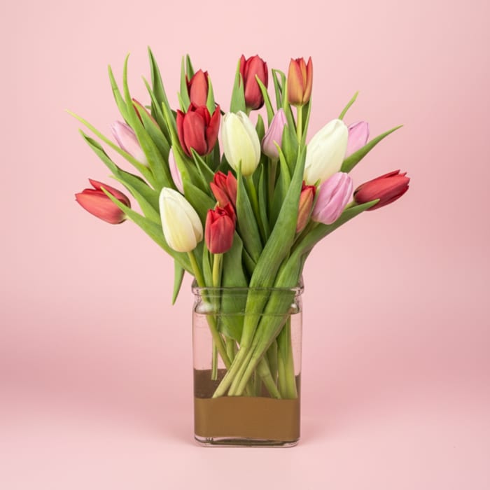 Mixed tulips in a clear glass vase on a pink background