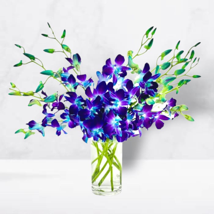 Purple and blue orchids in a clear glass vase