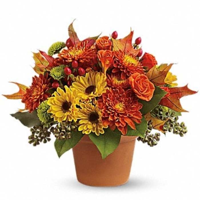 Autumn bouquet of yellow and orange flowers in a terracotta pot