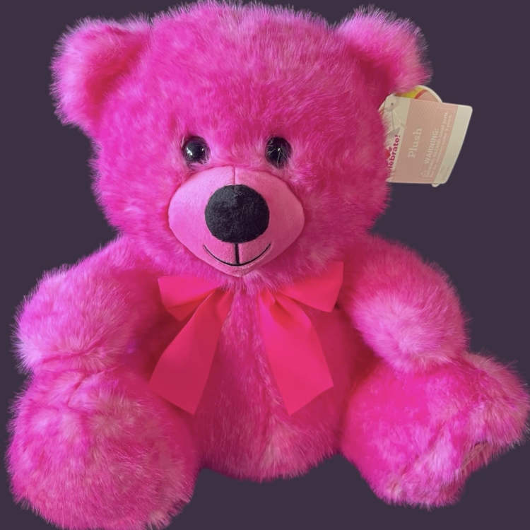 Pink Teddy Bear Medium