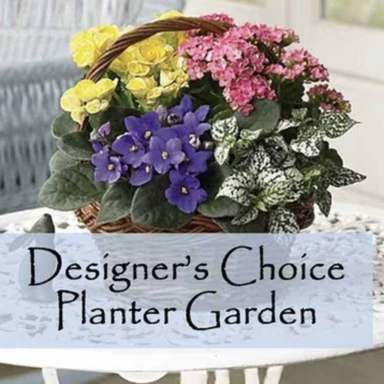 Designers choice Planter Garden