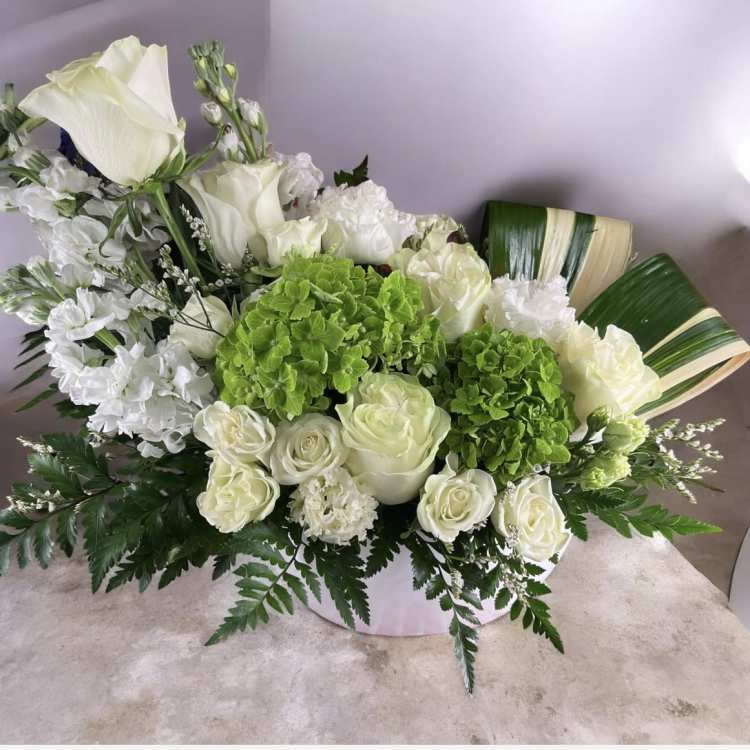 Wild Blooms