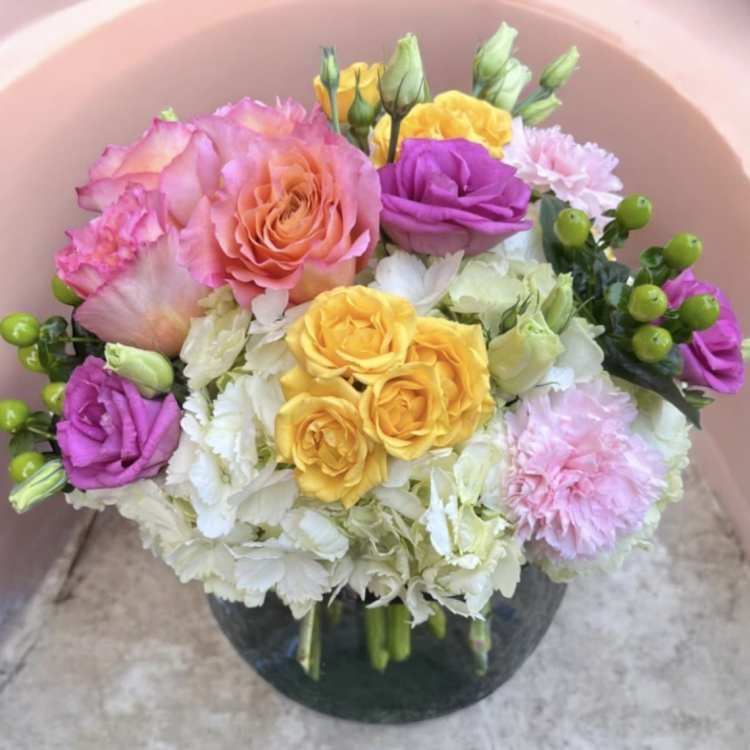 Blushing Beauty
