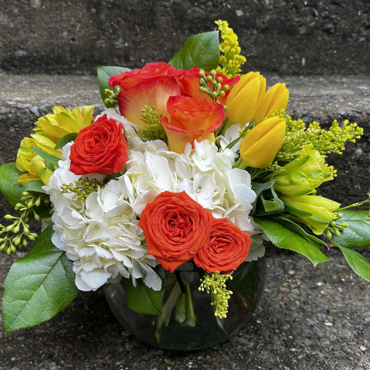 Spring Blooms