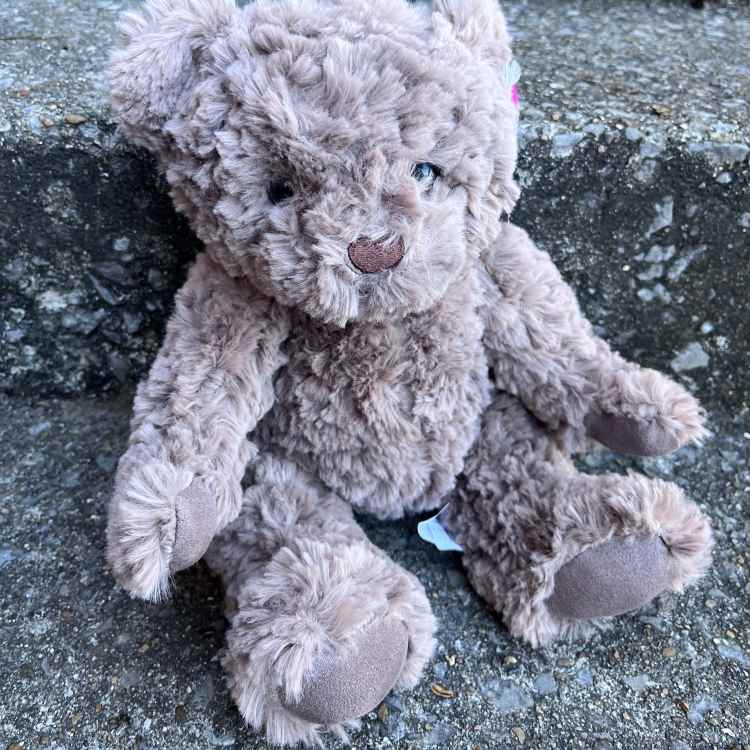 Dark Brown Bear