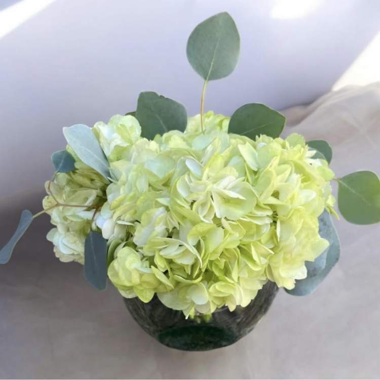 Green Blossom