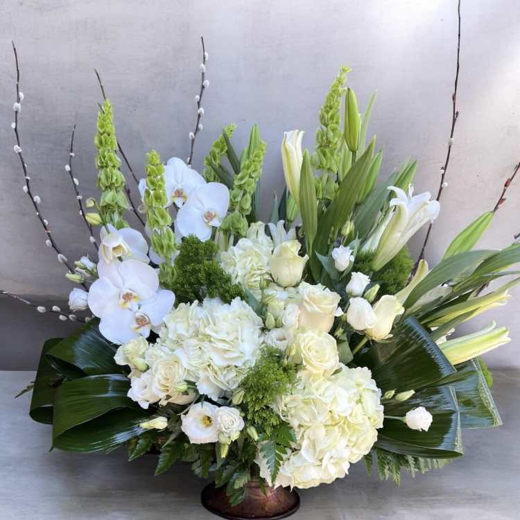 Ivory Elegance