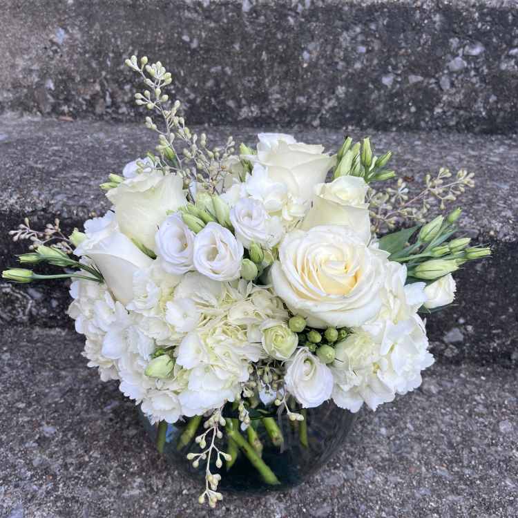 White Bliss