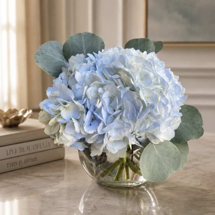 Blue hydrangea bouquet in a clear glass vase with round eucalyptus leaves