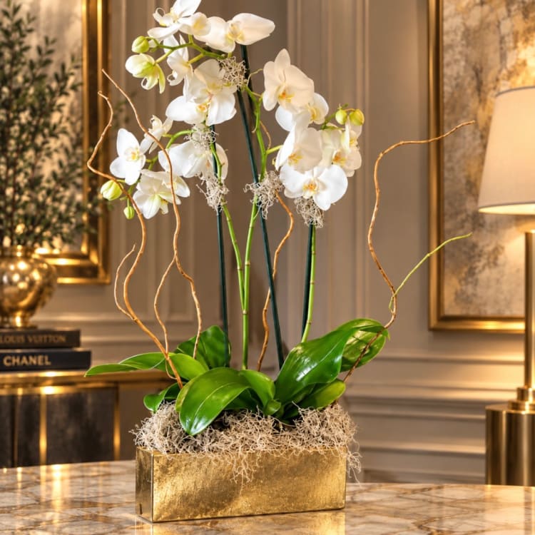 White orchid arrangement in a gold rectangular planter