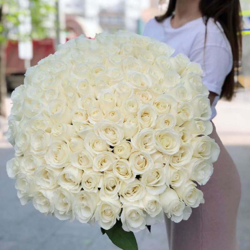 Large bouquet of white roses held by a person
