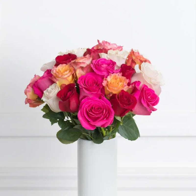 Bouquet of pink, red, and white roses in a white vase