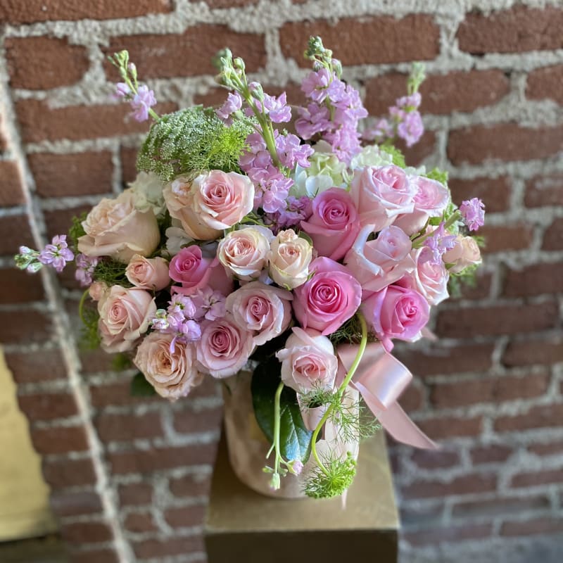 Sugar - Silver Lake Florist