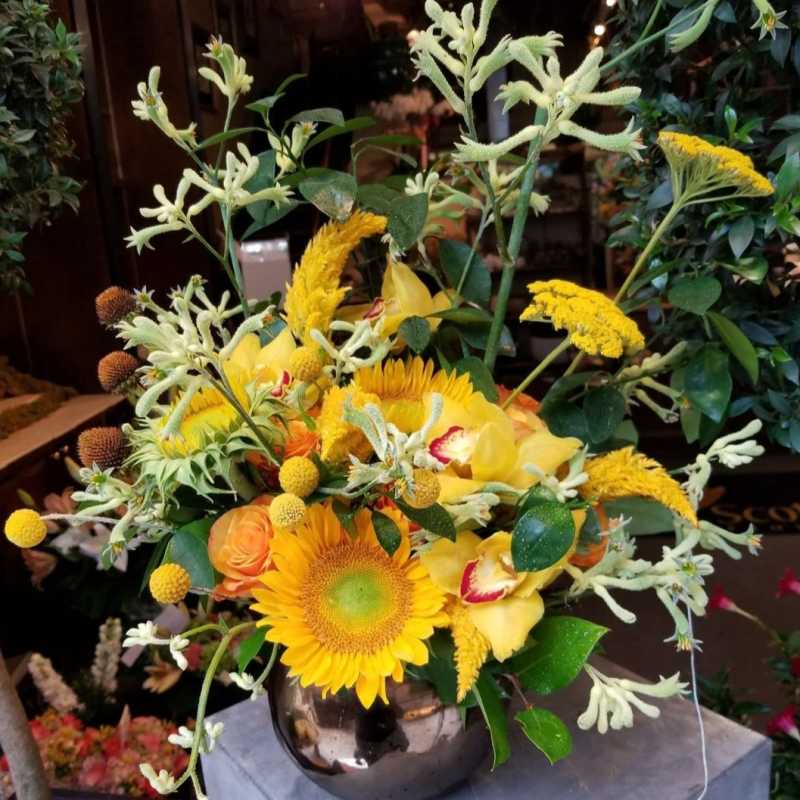 Wild Sunflower Medley