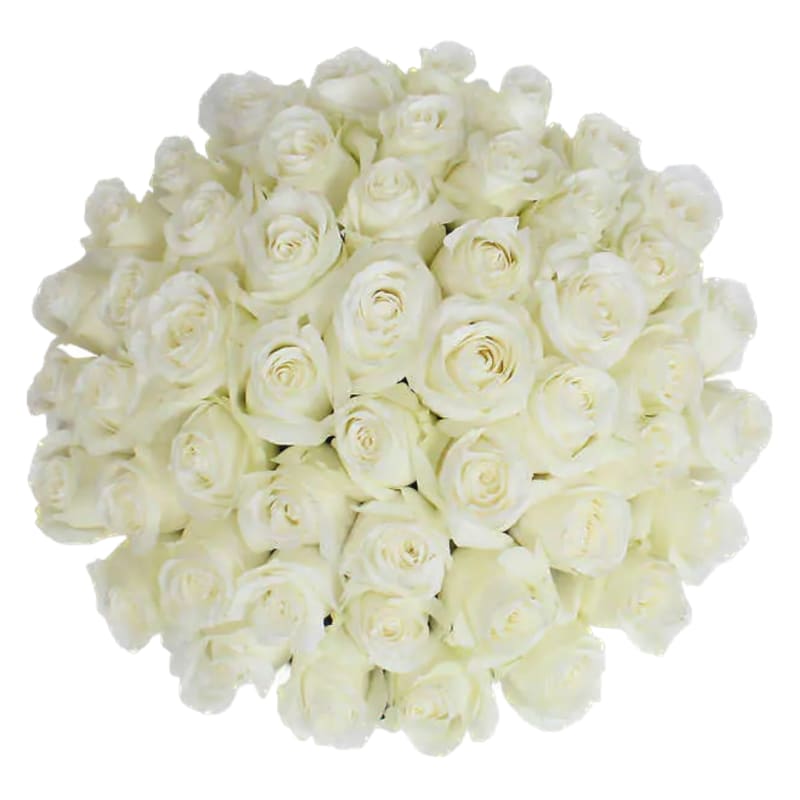 Lotus Love Classic White Handtied Bouquet