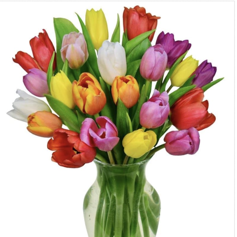 Colorful tulips arranged in a clear glass vase