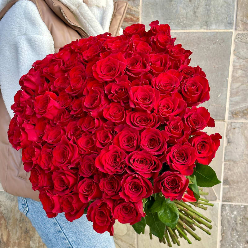 Person holding an extra-large bouquet of tightly clustered red roses.