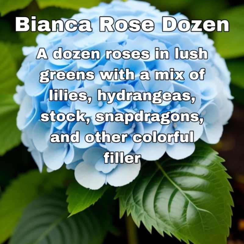 2025 Bianca Rose Exclusive Dozen Rose Arrangement