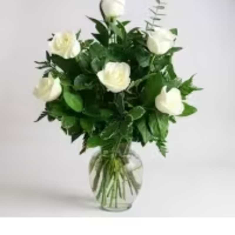 1/2 DOZEN WHITE ROSES