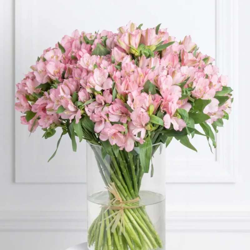 Pink alstroemeria bouquet in a clear glass vase