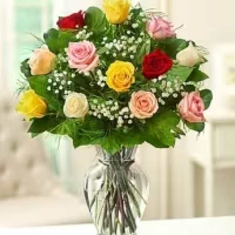 Rainbow Dozen Roses