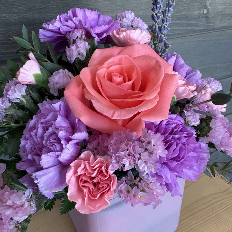 Sweet Lavender Kiss