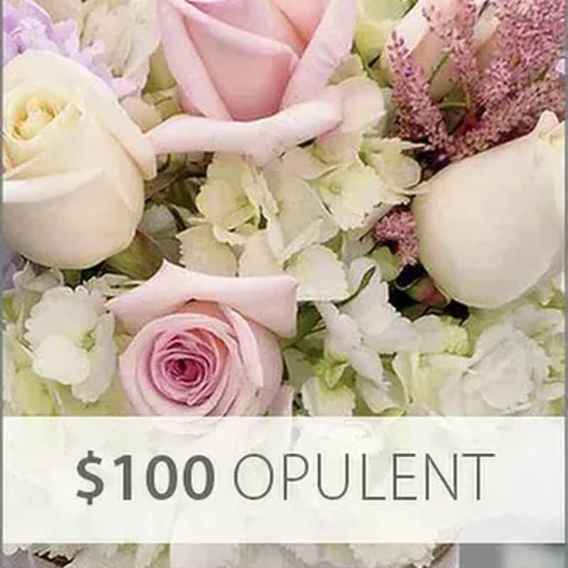 FLORIST CHOICE $100