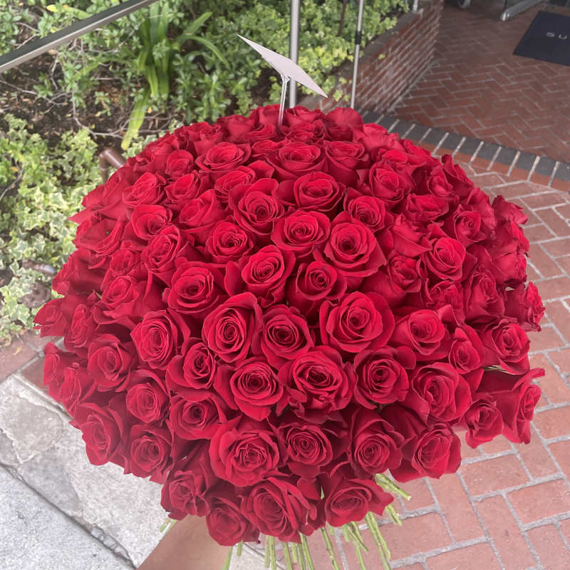 Large bouquet of red roses held outdoors