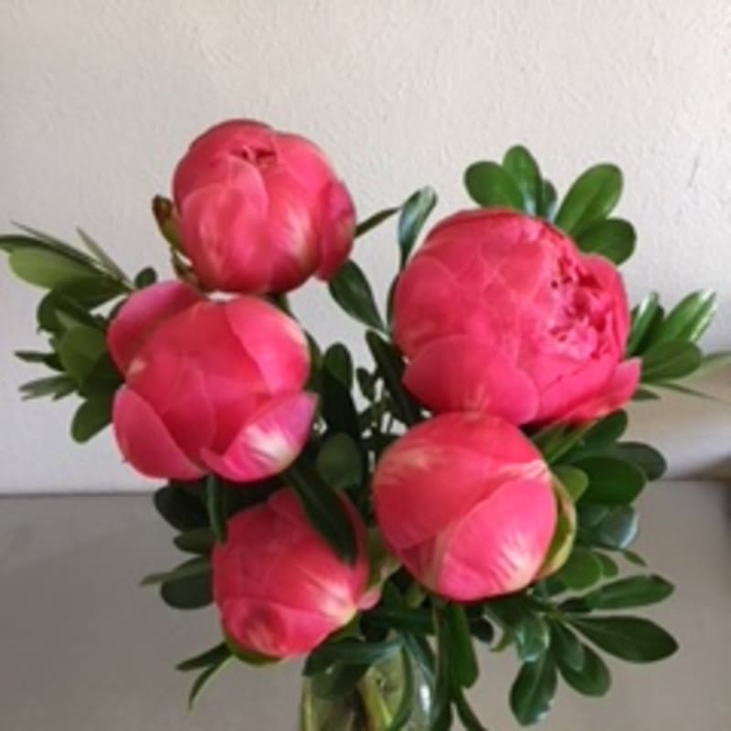 Pink peonies arranged in a clear glass vase