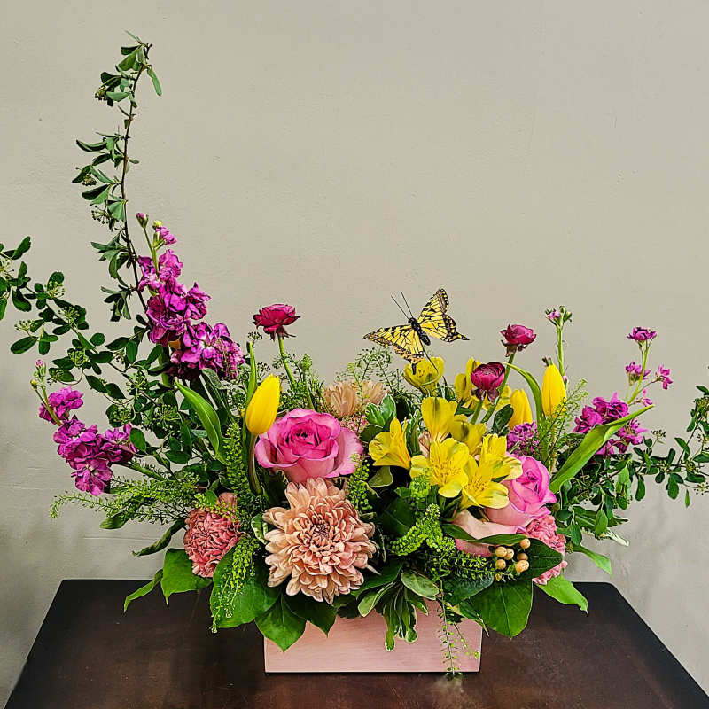 Butterfly Box in Pink