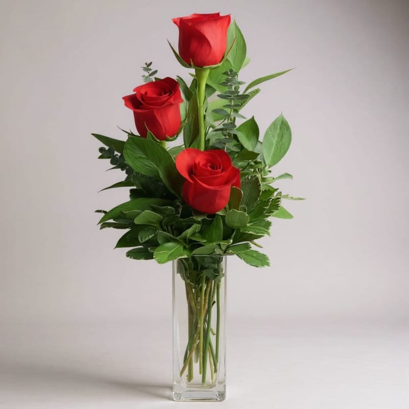 Red Rose Trio