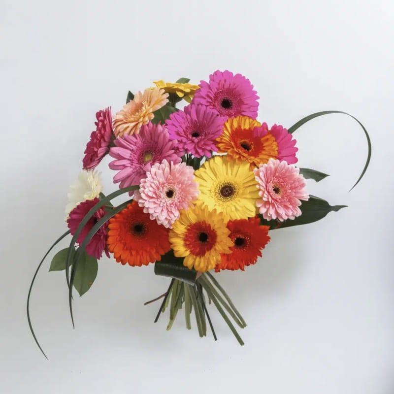 Bouquet of colorful gerbera daisies with long leaves