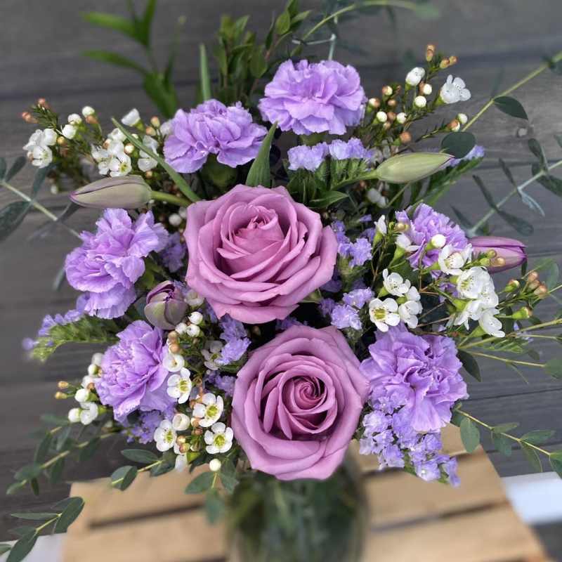 Violet Vibes