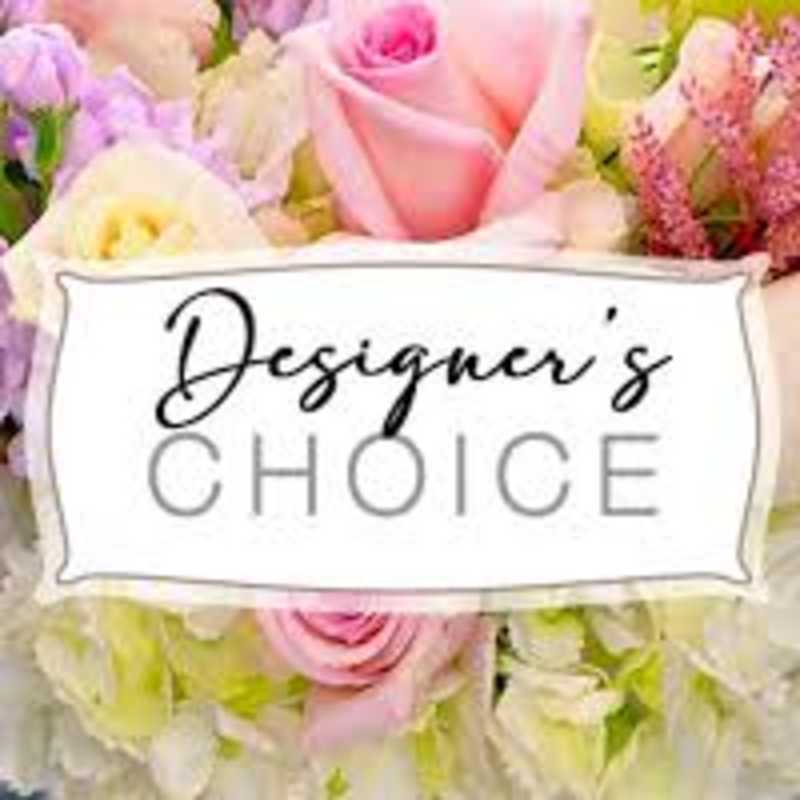 Designers Choice