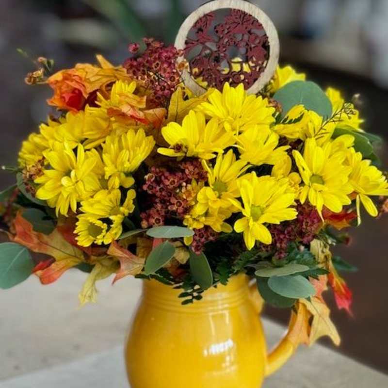 Yellow fall pitcher