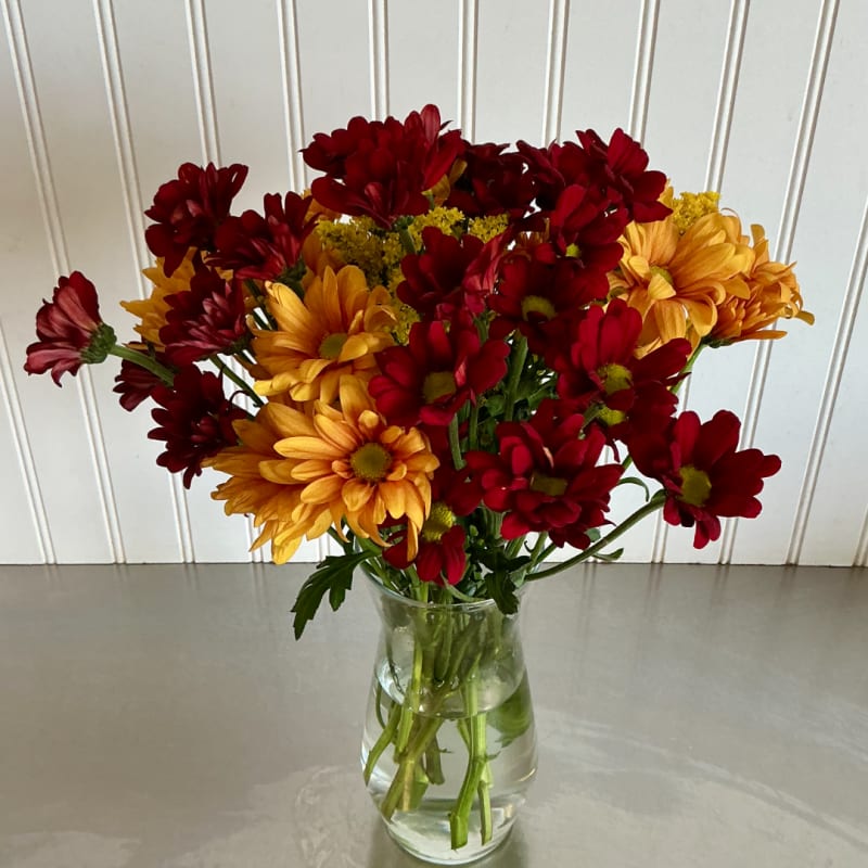 Red and yellow daisies in a clear glass vase