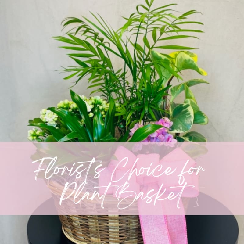 Florist's Choice Plant Basket