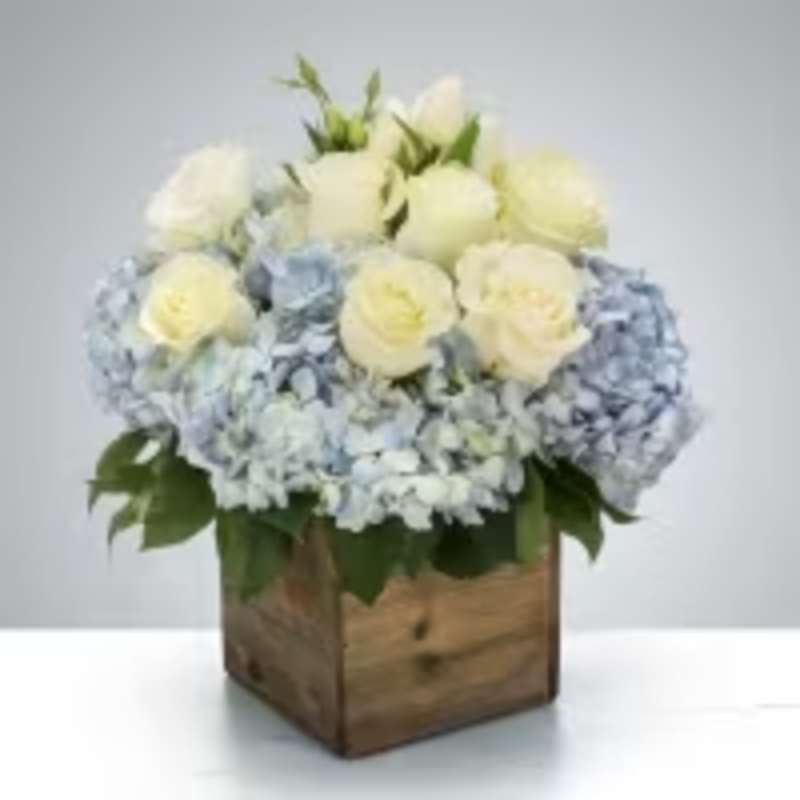 Coastal Cube Arrangement
