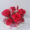 Bouquet of red roses in a white box with pink filler flowers