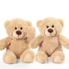 Two beige teddy bears sitting side by side on a white background