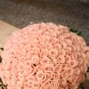 Huge bouquet with 200 roses