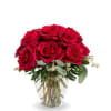 2 dozen red ruby roses 