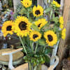 Tall bouquet of bright yellow sunflowers in a clear glass vase