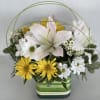 Mixed white and yellow flowers in a striped square vase with arched greenery