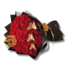 Bouquet of red roses wrapped in black paper with gold accents