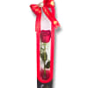 Single red rose in a tall gift box with a red bow