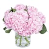Pink hydrangea bouquet in a clear glass vase