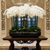 An extraordinary statement of elegance, this magnificent orchid arrangement showcases hundreds of