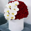 Box with red roses and white orchids.
One-sided composition!

Size:
50 Roses
1 Phalaenopsis (Orchids) Stem