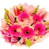 Pink bouquet with gerbera daisies, roses, and lilies wrapped in pale paper